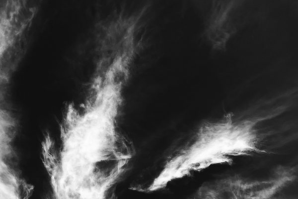 O quão frágil é a simples vida