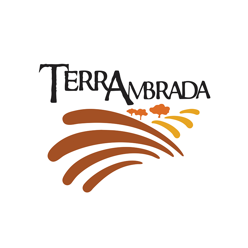 Criação do logotipo para Terra Ambrada, Bebidas