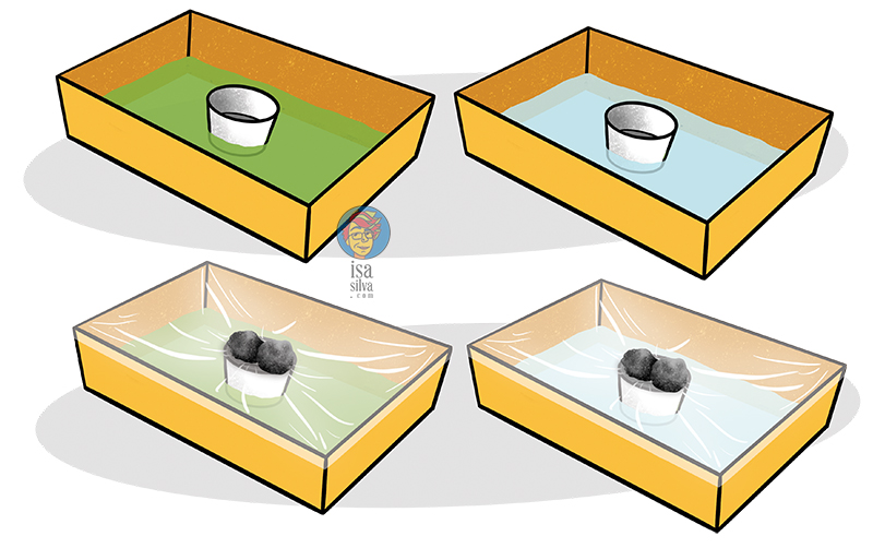 Ilustrações para os manuais 'Lab in a Box'